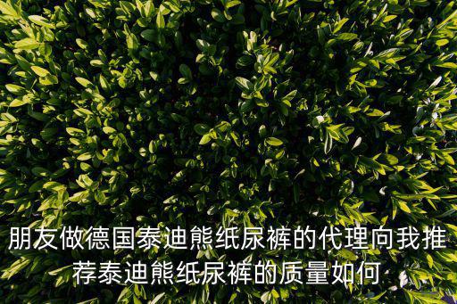 泰迪熊紙尿褲，朋友做德國泰迪熊紙尿褲的代理向我推薦泰迪熊紙尿褲的質(zhì)量如何