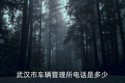 武漢市車輛管理所電話是多少