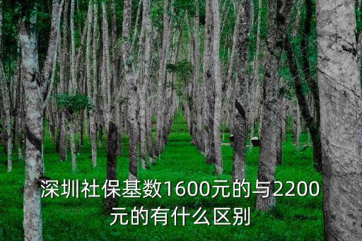 深圳社?；鶖?600元的與2200元的有什么區別