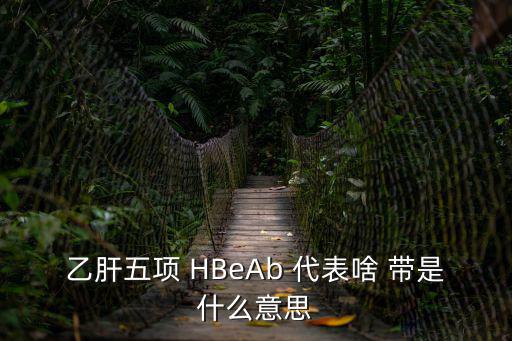 乙肝五項(xiàng) HBeAb 代表啥 帶是什么意思