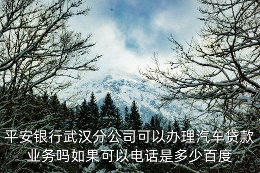 平安銀行武漢分公司可以辦理汽車貸款業(yè)務(wù)嗎如果可以電話是多少百度