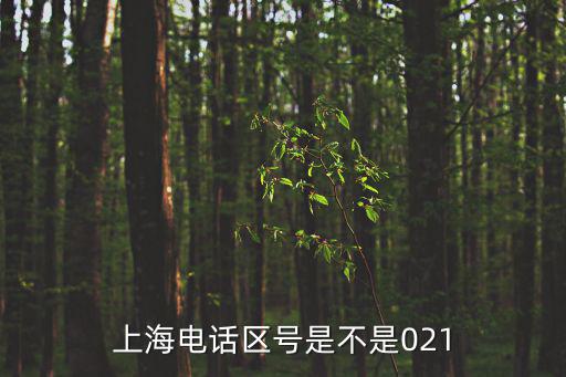 上海電話區(qū)號是不是021