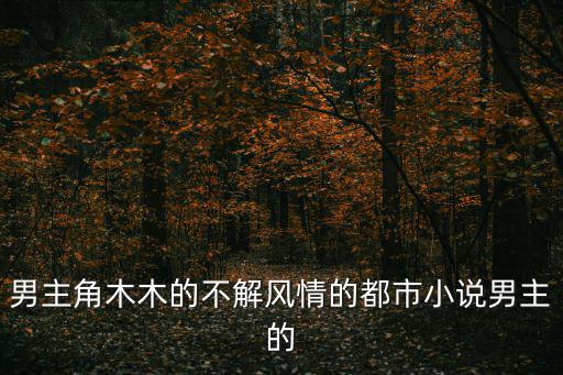 男主角木木的不解風(fēng)情的都市小說男主的