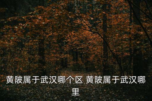 黃陂屬于武漢哪個(gè)區(qū) 黃陂屬于武漢哪里