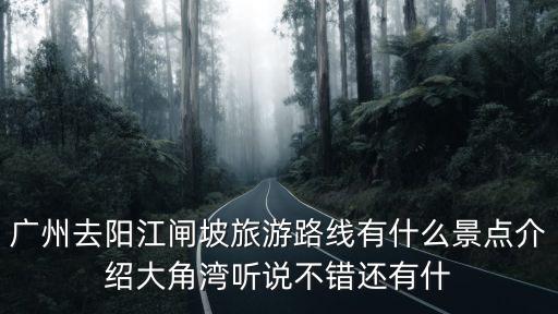廣州去陽(yáng)江閘坡旅游路線有什么景點(diǎn)介紹大角灣聽說(shuō)不錯(cuò)還有什