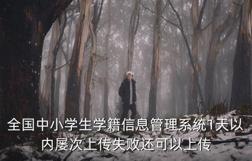 全國中小學生學籍信息管理系統1天以內屢次上傳失敗還可以上傳