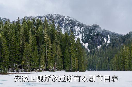 安徽衛視播放過所有泰劇節目表