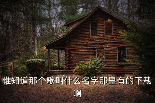 誰知道那個歌叫什么名字那里有的下載啊