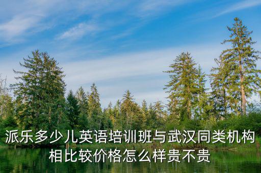 派樂(lè)，派樂(lè)多少兒英語(yǔ)培訓(xùn)班與武漢同類機(jī)構(gòu)相比較價(jià)格怎么樣貴不貴