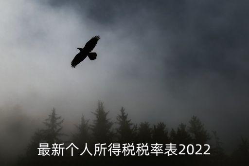 最新個人所得稅稅率表2022