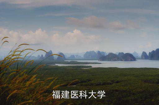 福建醫(yī)科大，福建醫(yī)科大在醫(yī)科大學