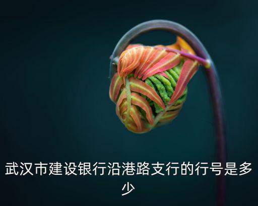 武漢市建設銀行沿港路支行的行號是多少