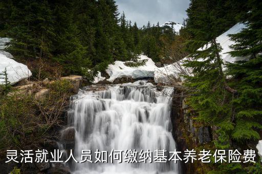 靈活就業(yè)人員如何繳納基本養(yǎng)老保險費