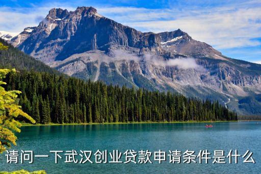 請問一下武漢創業貸款申請條件是什么