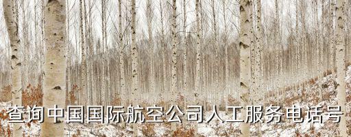 中國(guó)國(guó)航客服電話，國(guó)航客服熱線是
