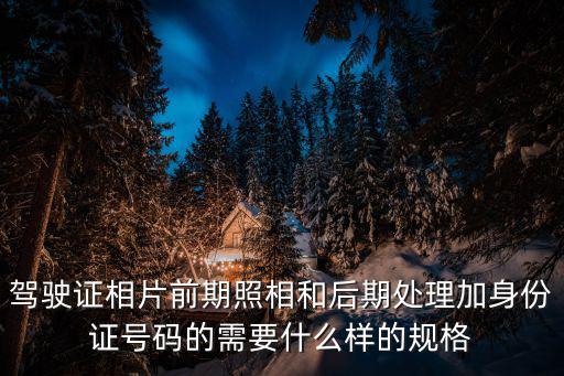 駕駛證相片前期照相和后期處理加身份證號碼的需要什么樣的規格