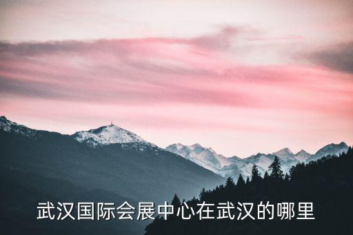 武漢國(guó)際會(huì)展中心在武漢的哪里