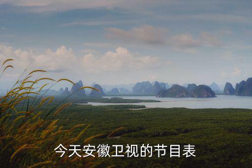 今天安徽衛視的節目表