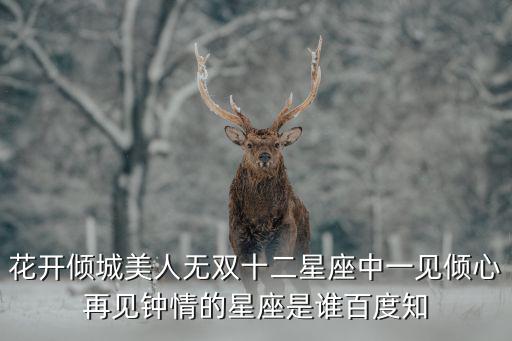花開傾城美人無雙十二星座中一見傾心再見鐘情的星座是誰百度知