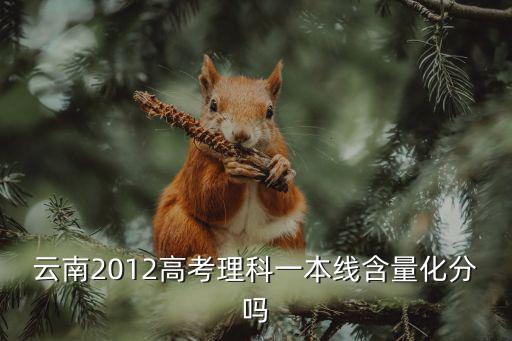 云南2012高考理科一本線含量化分嗎