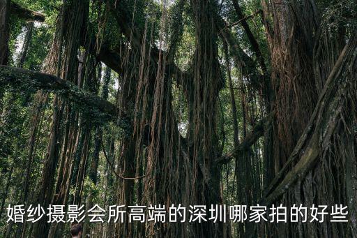 婚紗攝影會所高端的深圳哪家拍的好些