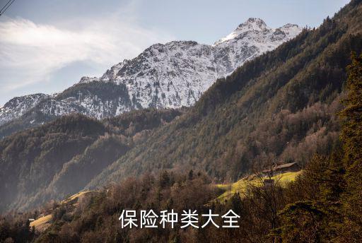 保險種類大全