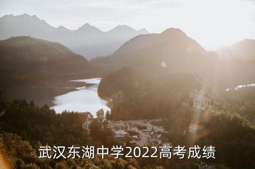 武漢東湖中學2022高考成績