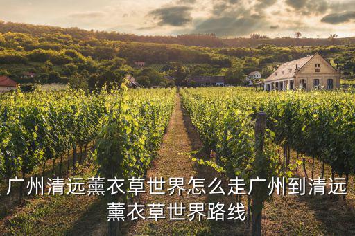廣州清遠(yuǎn)薰衣草世界怎么走廣州到清遠(yuǎn)薰衣草世界路線(xiàn)