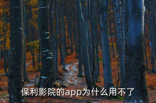 保利影院的app為什么用不了