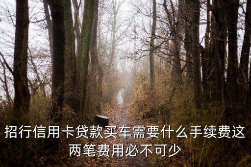 招行信用卡貸款買車需要什么手續費這兩筆費用必不可少