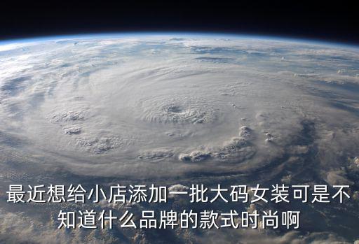 最近想給小店添加一批大碼女裝可是不知道什么品牌的款式時尚啊