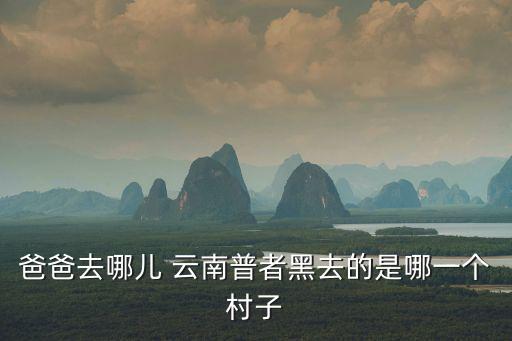 爸爸去哪兒 云南普者黑去的是哪一個村子