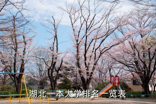 湖北一本大學(xué)排名一覽表