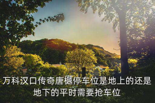 萬科漢口傳奇唐樾停車位是地上的還是地下的平時需要搶車位
