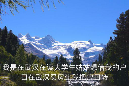 我是在武漢在讀大學生姑姑想借我的戶口在武漢買房讓我把戶口轉