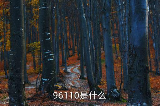 96110是什么