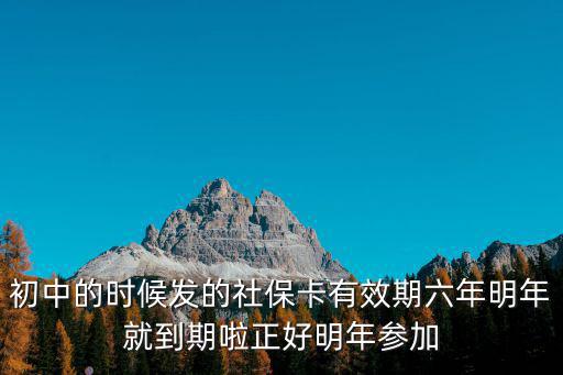 初中的時候發的社保卡有效期六年明年就到期啦正好明年參加