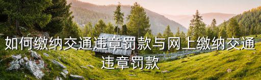 交通違章罰款繳費，如何繳納交通違章罰款與網上繳納交通違章罰款