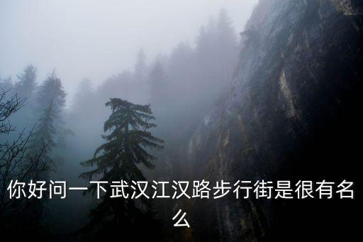 你好問一下武漢江漢路步行街是很有名么