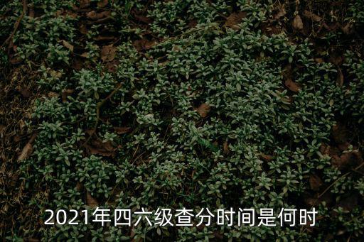 2021年四六級查分時間是何時
