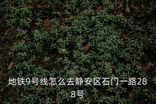 地鐵9號線怎么去靜安區石門一路288號