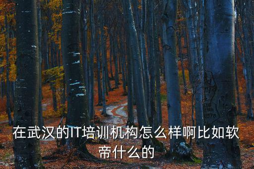 在武漢的IT培訓機構怎么樣啊比如軟帝什么的