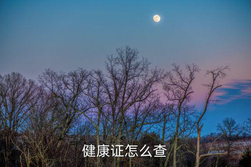 健康證怎么查