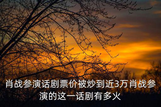 如夢之夢票價，肖戰參演話劇票價被炒到近3萬肖戰參演的這一話劇有多火