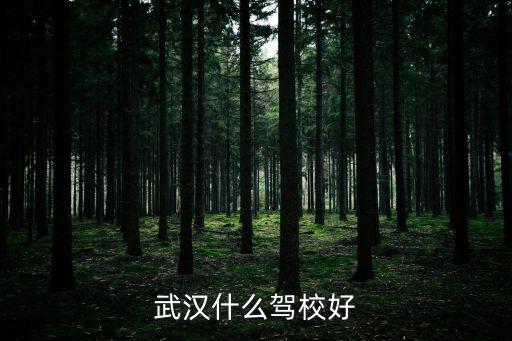 武漢什么駕校好