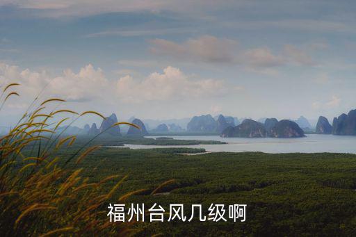 福州臺(tái)風(fēng)幾級(jí)啊