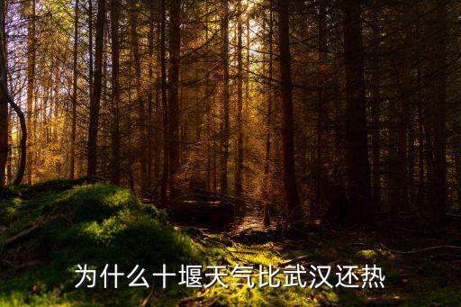 為什么十堰天氣比武漢還熱