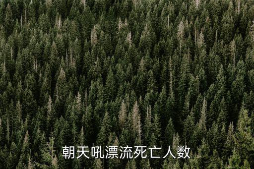 朝天吼漂流死亡人數(shù)