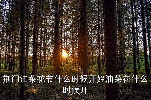 荊門油菜花節(jié)什么時候開始油菜花什么時候開