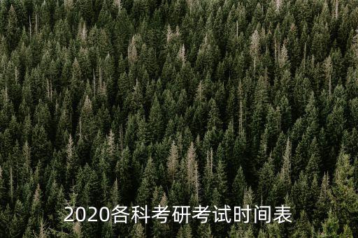 2020各科考研考試時間表